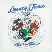 Load image into Gallery viewer, 1994 Looney Tunes Warner Bros “That’s All Folks!” Embroidered Collectible Canvas Cushion Pillow - 19x19”