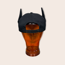 Load image into Gallery viewer, (1997) Batman & Robin cap