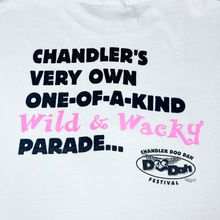 Load image into Gallery viewer, (1996) Chandler Doo Dah Festival T-shirt - L