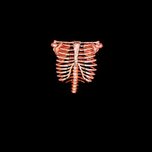 Load image into Gallery viewer, 1991 Rib Cage Glow In The Dark Skeleton Bones Tempe Arizona Brieland Graphics Hanes Halloween Single Stitch Graphic T-Shirt - XL
